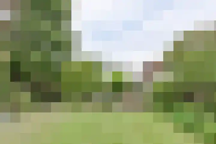 Park Zomerlust 10 Zevenhoven thumbnail 31