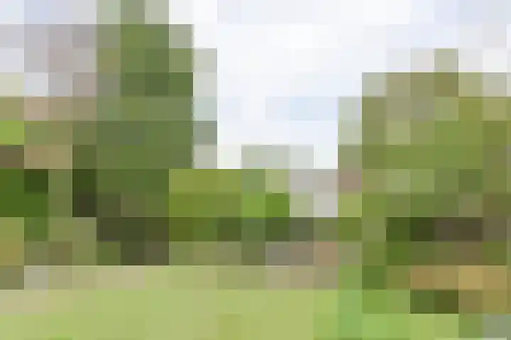 Park Zomerlust 10 Zevenhoven thumbnail 32