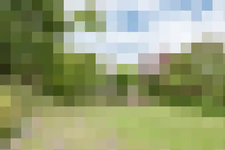 Park Zomerlust 10 Zevenhoven thumbnail 33