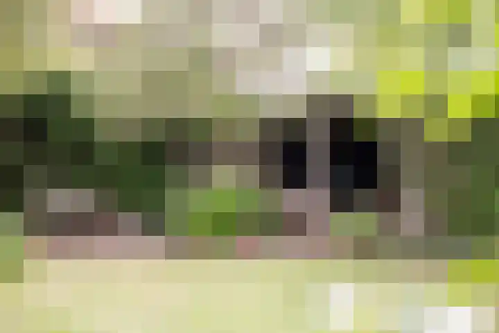Park Zomerlust 10 Zevenhoven thumbnail 34