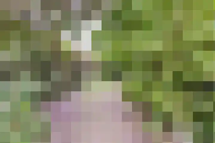 Park Zomerlust 10 Zevenhoven thumbnail 35