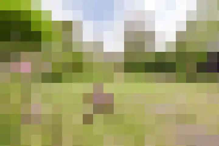 Park Zomerlust 10 Zevenhoven thumbnail 36