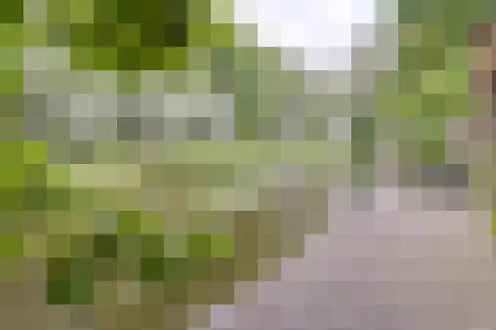 Park Zomerlust 10 Zevenhoven thumbnail 37