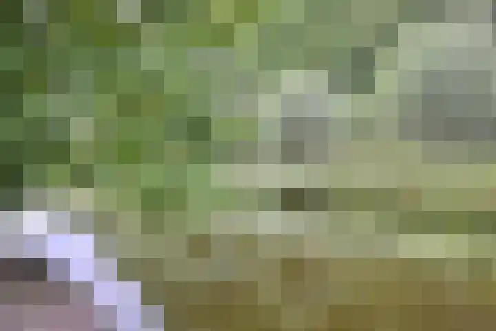 Park Zomerlust 10 Zevenhoven thumbnail 38