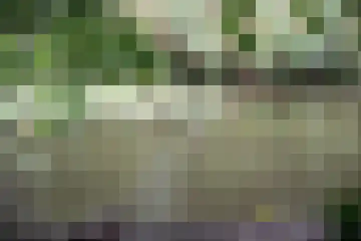Park Zomerlust 10 Zevenhoven thumbnail 39