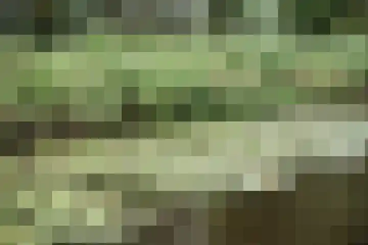 Park Zomerlust 10 Zevenhoven thumbnail 40