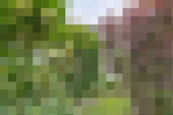 Park Zomerlust 10 Zevenhoven thumbnail 41