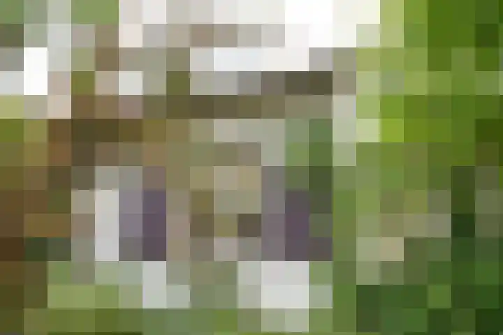 Park Zomerlust 10 Zevenhoven thumbnail 42