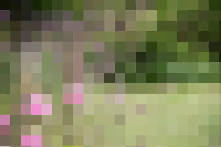 Park Zomerlust 10 Zevenhoven thumbnail 43