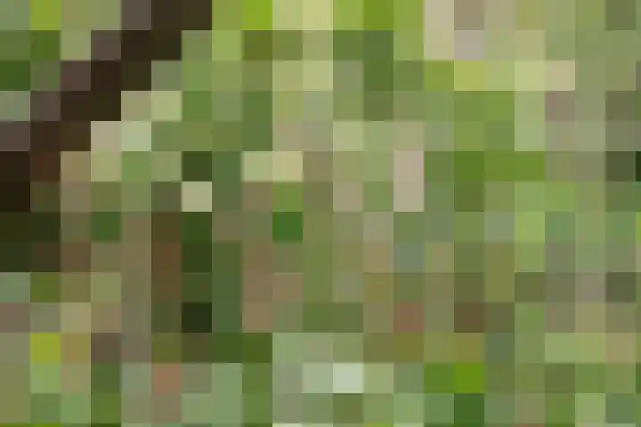 Park Zomerlust 10 Zevenhoven thumbnail 44