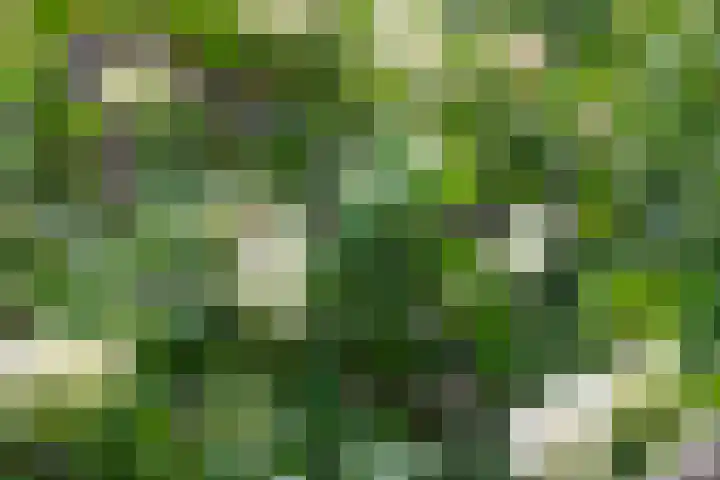 Park Zomerlust 10 Zevenhoven thumbnail 45