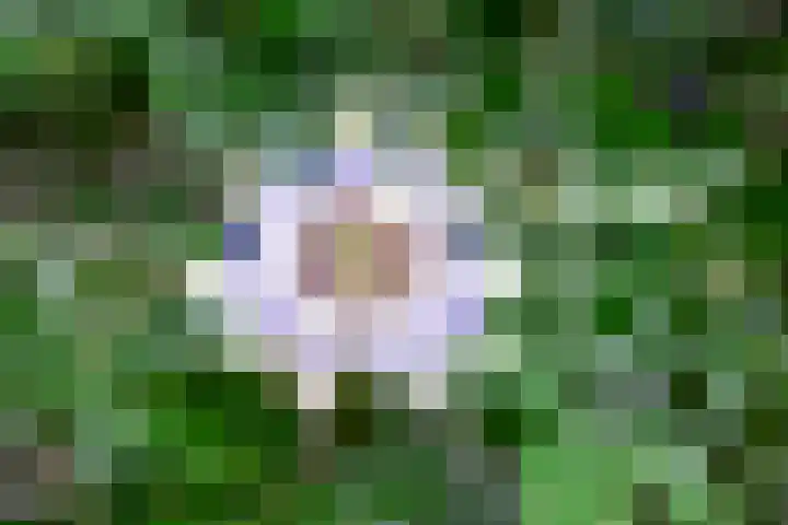 Park Zomerlust 10 Zevenhoven thumbnail 46