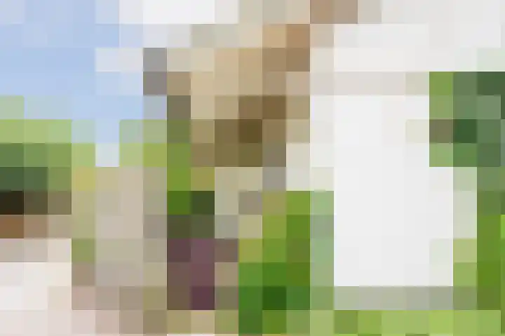 Park Zomerlust 10 Zevenhoven thumbnail 49