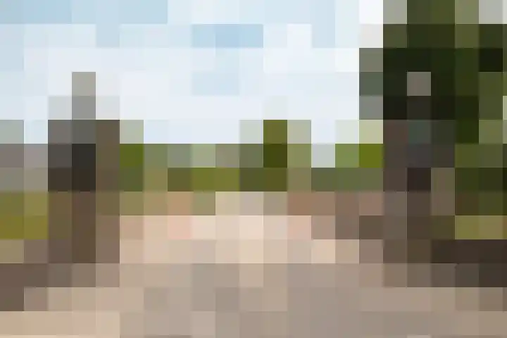 Park Zomerlust 10 Zevenhoven thumbnail 50