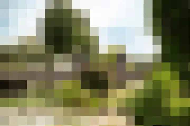 Park Zomerlust 10 Zevenhoven thumbnail 51