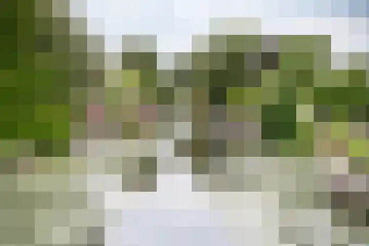 Park Zomerlust 10 Zevenhoven thumbnail 53