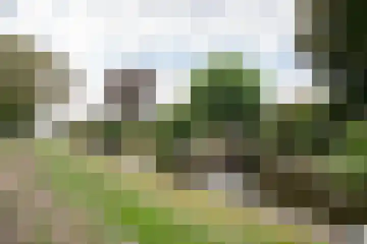 Park Zomerlust 10 Zevenhoven thumbnail 55