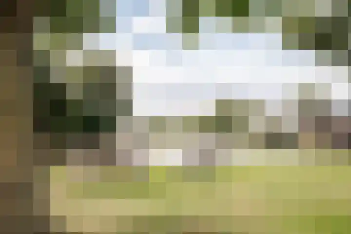 Park Zomerlust 10 Zevenhoven thumbnail 57
