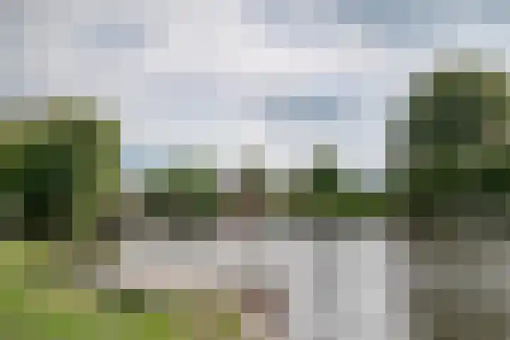 Park Zomerlust 10 Zevenhoven thumbnail 58