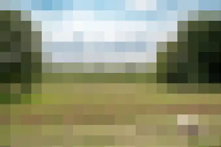 Park Zomerlust 10 Zevenhoven thumbnail 59