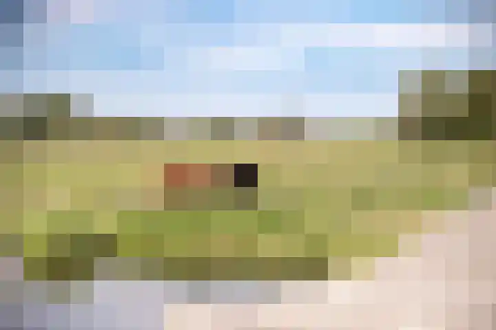 Park Zomerlust 10 Zevenhoven thumbnail 60