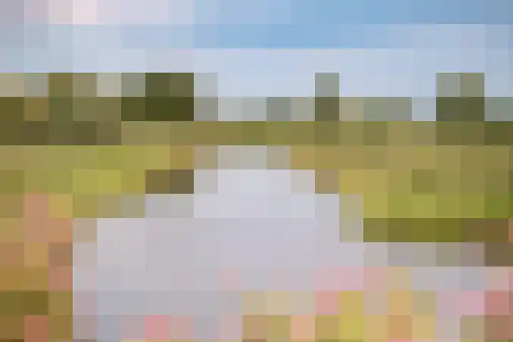 Park Zomerlust 10 Zevenhoven thumbnail 61
