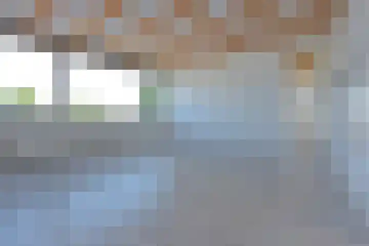 Park Zomerlust 131 Zevenhoven thumbnail 17