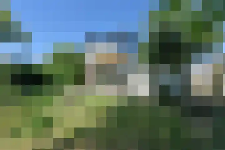 Park Zomerlust 131 Zevenhoven thumbnail 21