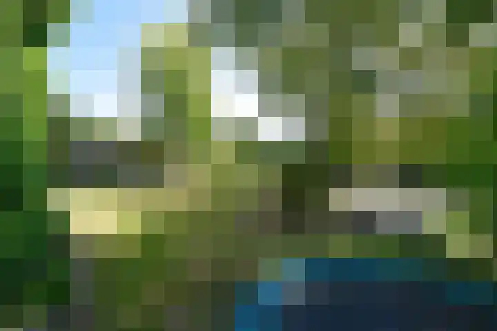 Park Zomerlust 131 Zevenhoven thumbnail 23