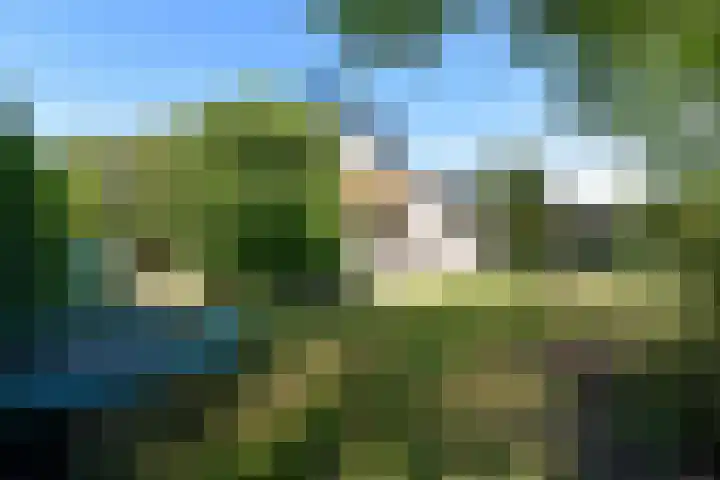 Park Zomerlust 131 Zevenhoven thumbnail 24