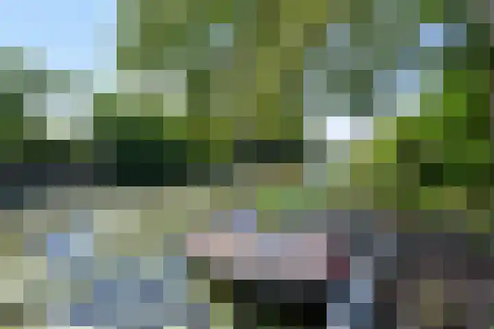 Park Zomerlust 131 Zevenhoven thumbnail 25