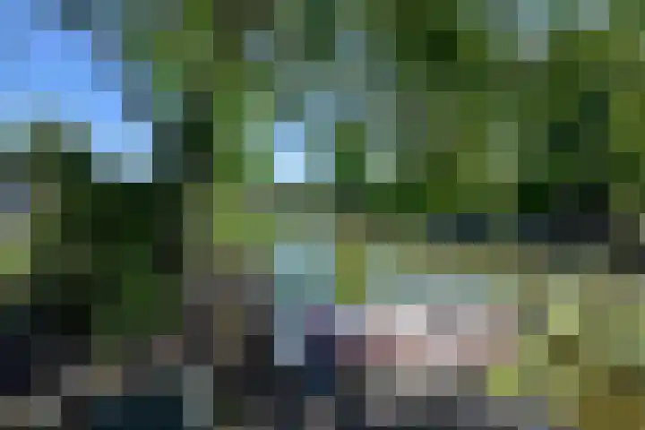 Park Zomerlust 131 Zevenhoven thumbnail 26