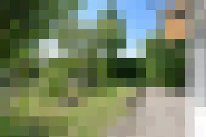 Park Zomerlust 131 Zevenhoven thumbnail 27