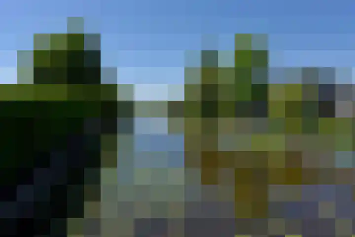 Park Zomerlust 131 Zevenhoven thumbnail 28