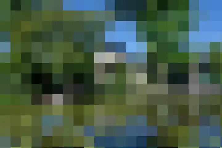 Park Zomerlust 131 Zevenhoven thumbnail 29