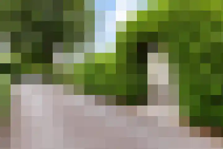 Park Zomerlust 135 Zevenhoven thumbnail 10