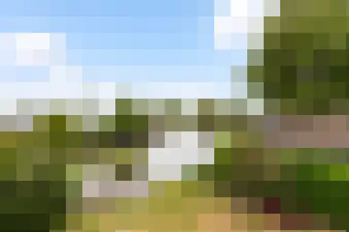 Park Zomerlust 135 Zevenhoven thumbnail 35