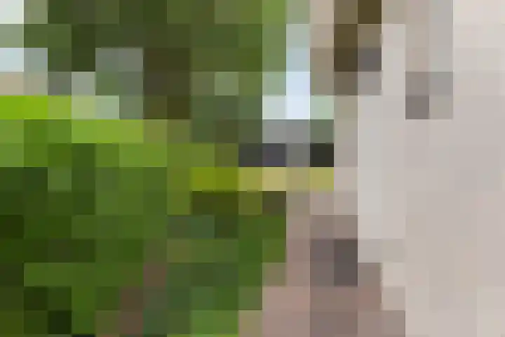 Park Zomerlust 135 Zevenhoven thumbnail 42