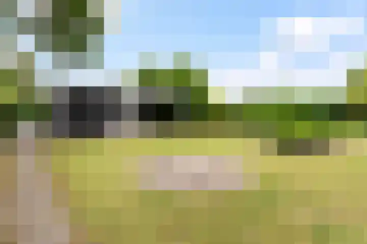 Park Zomerlust 135 Zevenhoven thumbnail 43