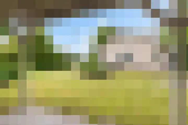 Park Zomerlust 135 Zevenhoven thumbnail 45
