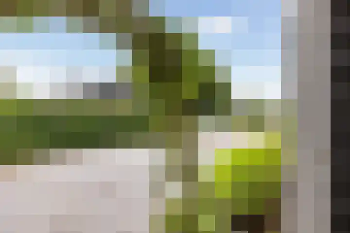 Park Zomerlust 135 Zevenhoven thumbnail 48