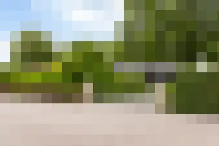 Park Zomerlust 135 Zevenhoven thumbnail 5