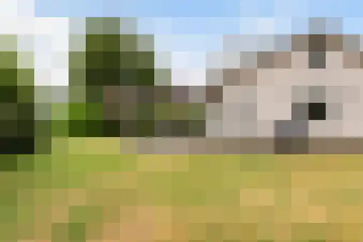 Park Zomerlust 135 Zevenhoven thumbnail 50