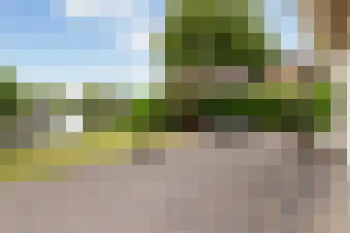 Park Zomerlust 135 Zevenhoven thumbnail 52