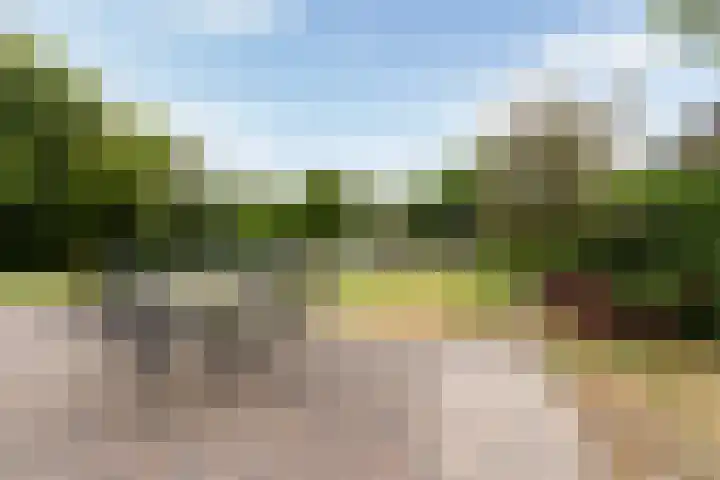 Park Zomerlust 135 Zevenhoven thumbnail 53