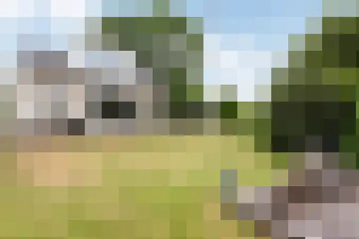 Park Zomerlust 135 Zevenhoven thumbnail 54