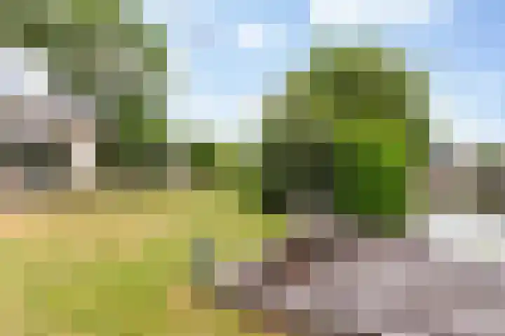 Park Zomerlust 135 Zevenhoven thumbnail 55