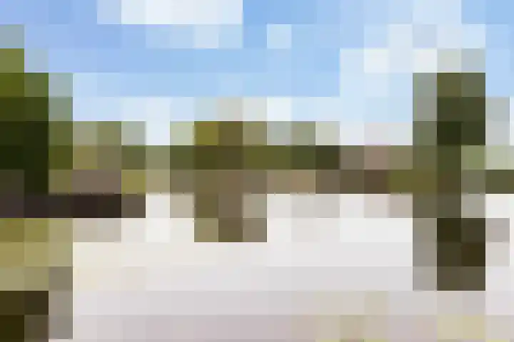 Park Zomerlust 135 Zevenhoven thumbnail 57