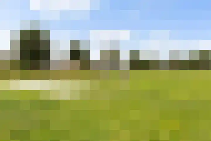 Park Zomerlust 135 Zevenhoven thumbnail 60