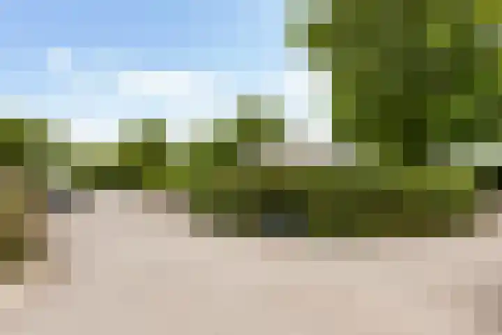 Park Zomerlust 135 Zevenhoven thumbnail 7